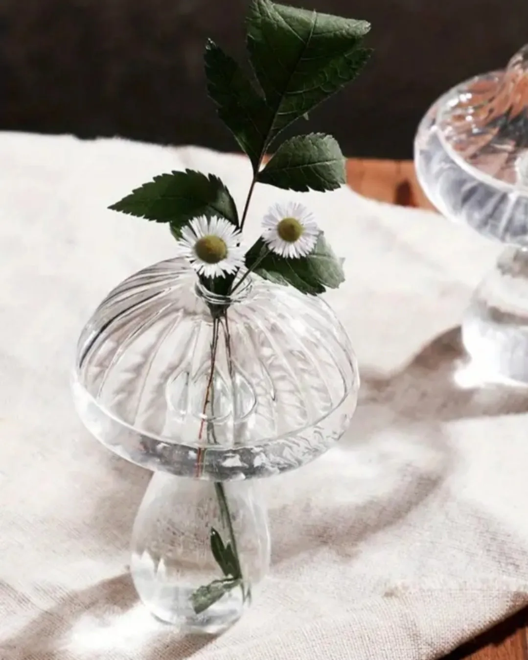 Assorted Glass Mushroom Hydroponics Vases