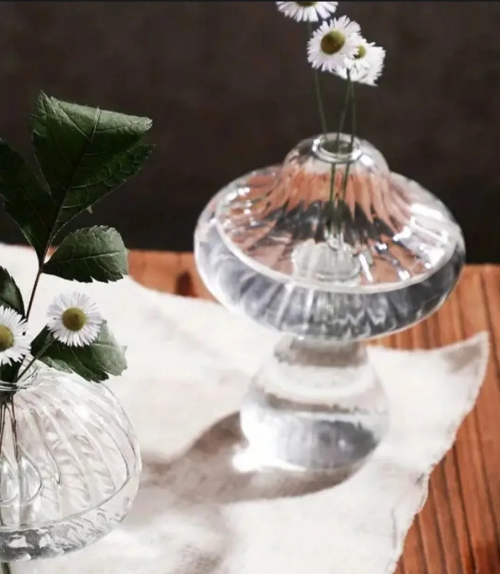 Assorted Glass Mushroom Hydroponics Vases