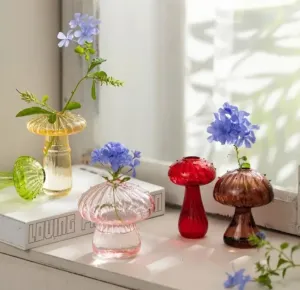 Assorted Glass Mushroom Hydroponics Vases