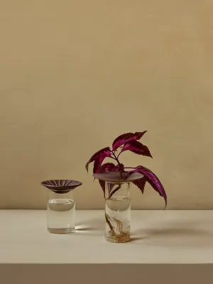 Cresco Propagation Vases, Set of 2