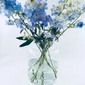 Eco Vase