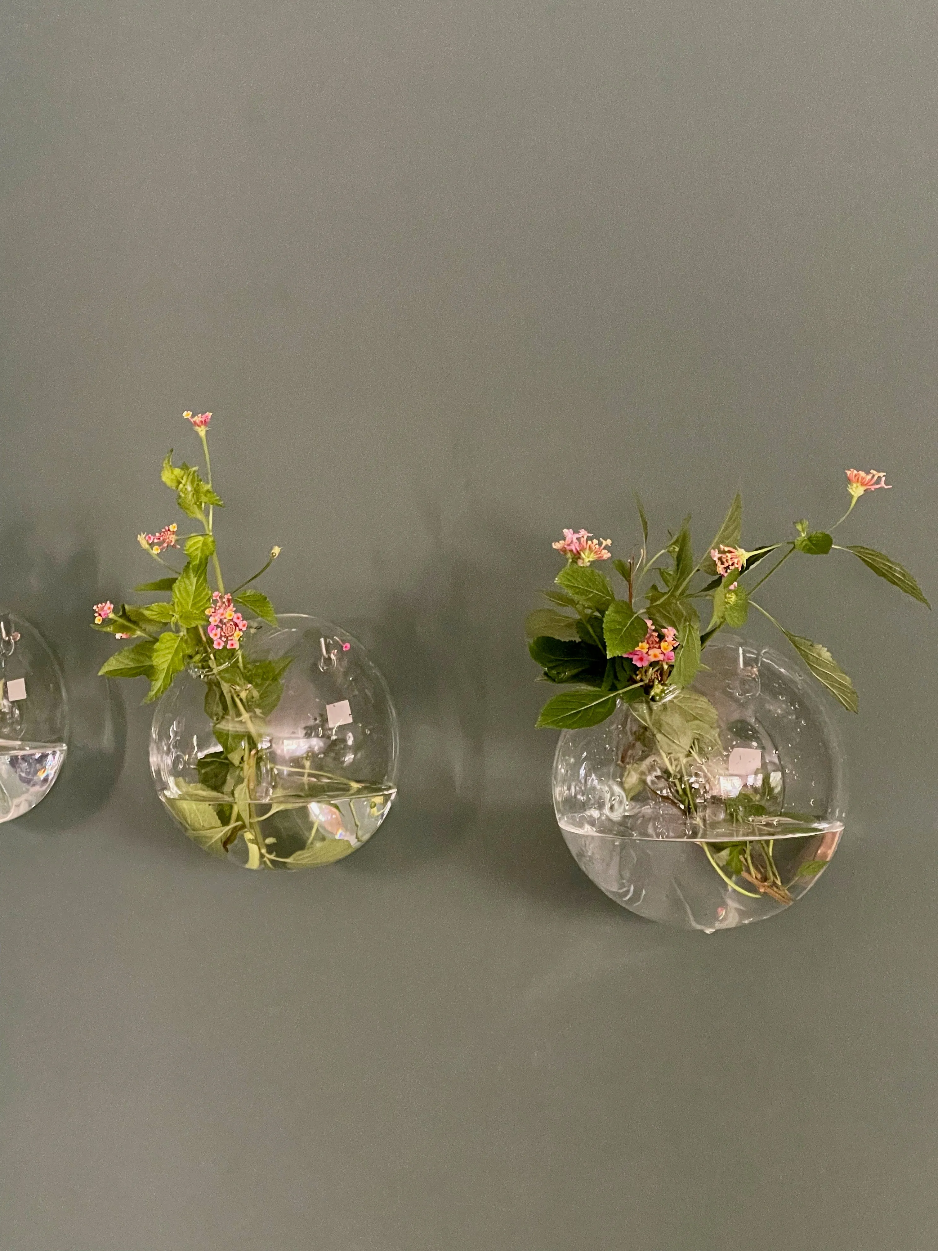 Hanging Ball Vase