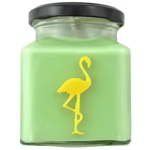 Lemon & Lime Mojito Classic Flamingo Candle