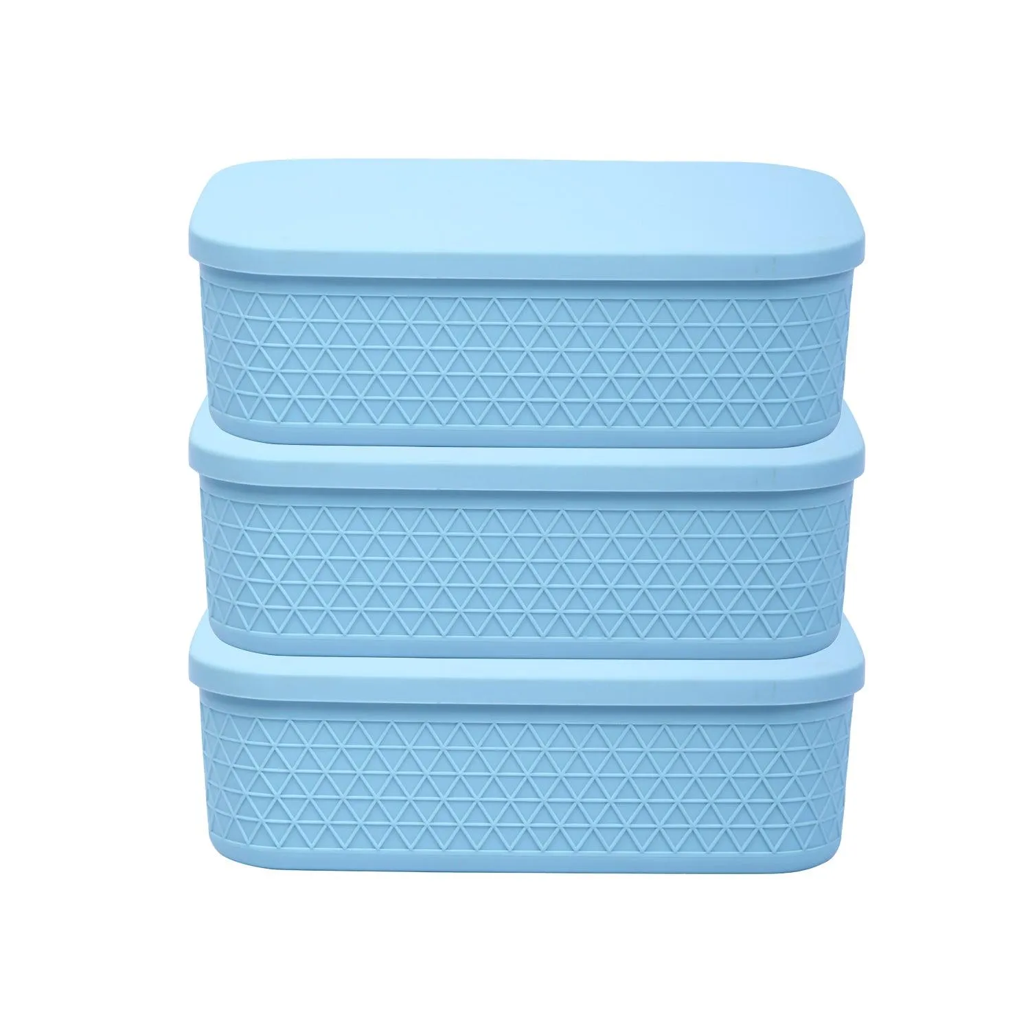 Multipurpose Storage Containers with Lids (Pack of 3).