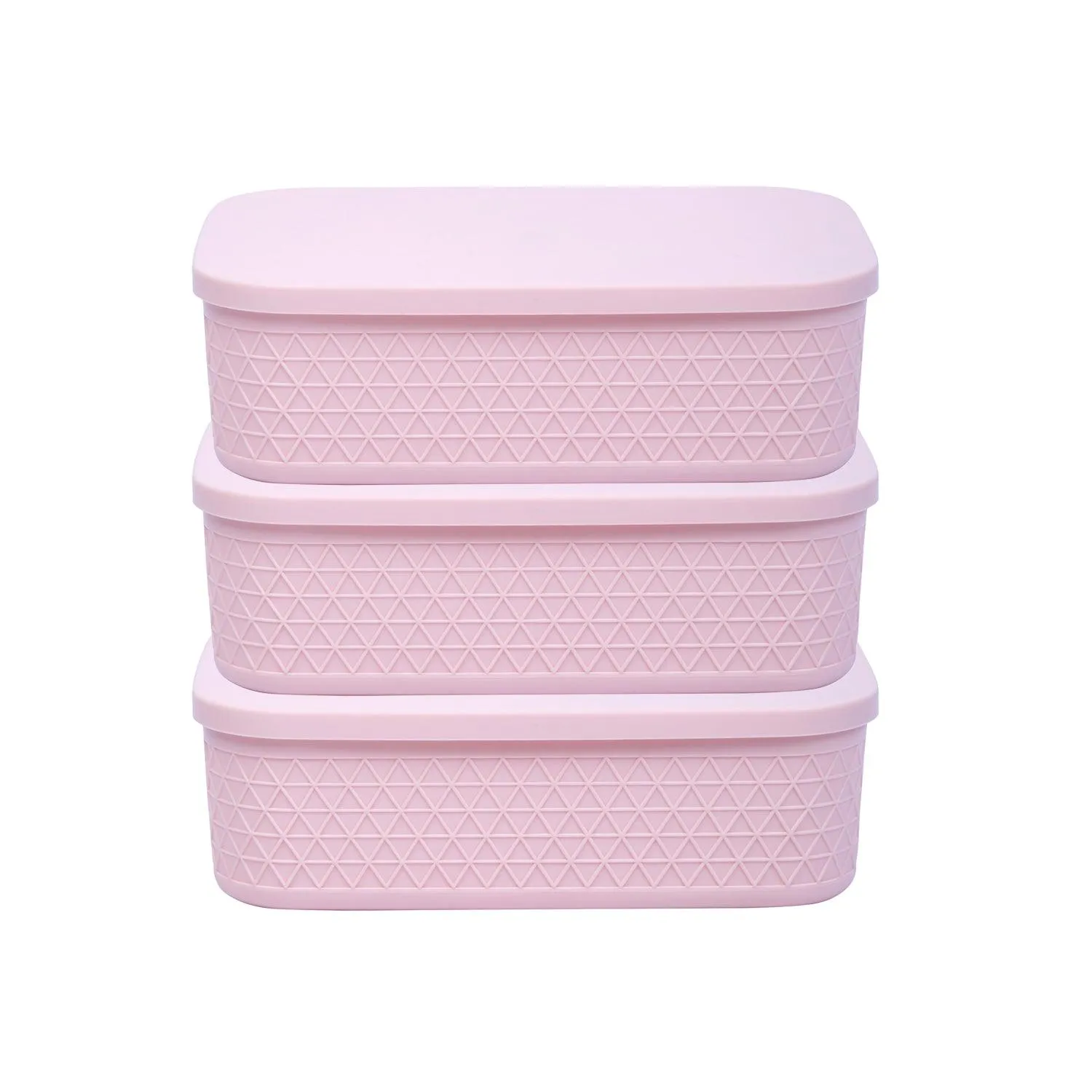 Multipurpose Storage Containers with Lids (Pack of 3).