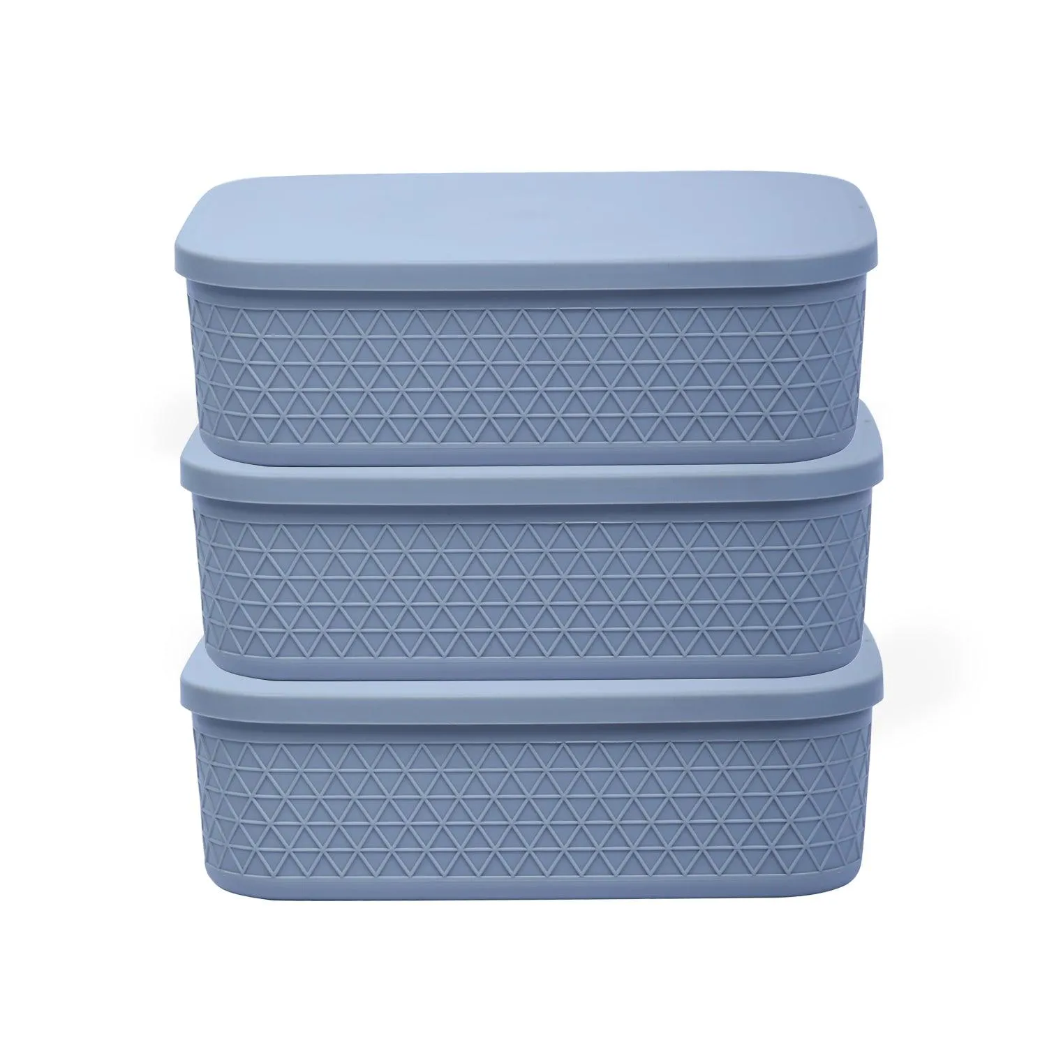 Multipurpose Storage Containers with Lids (Pack of 3).