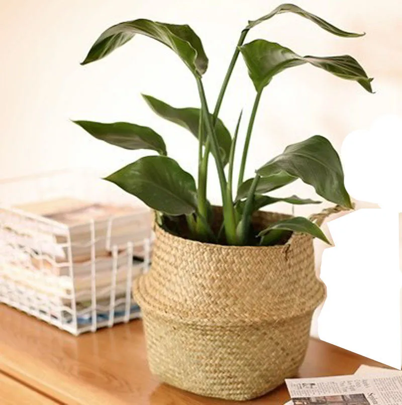 Natural Woven Seagrass Flower Baskets Garden Flower Pot-L