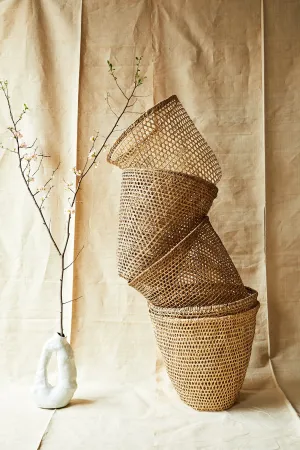 Selva Basket