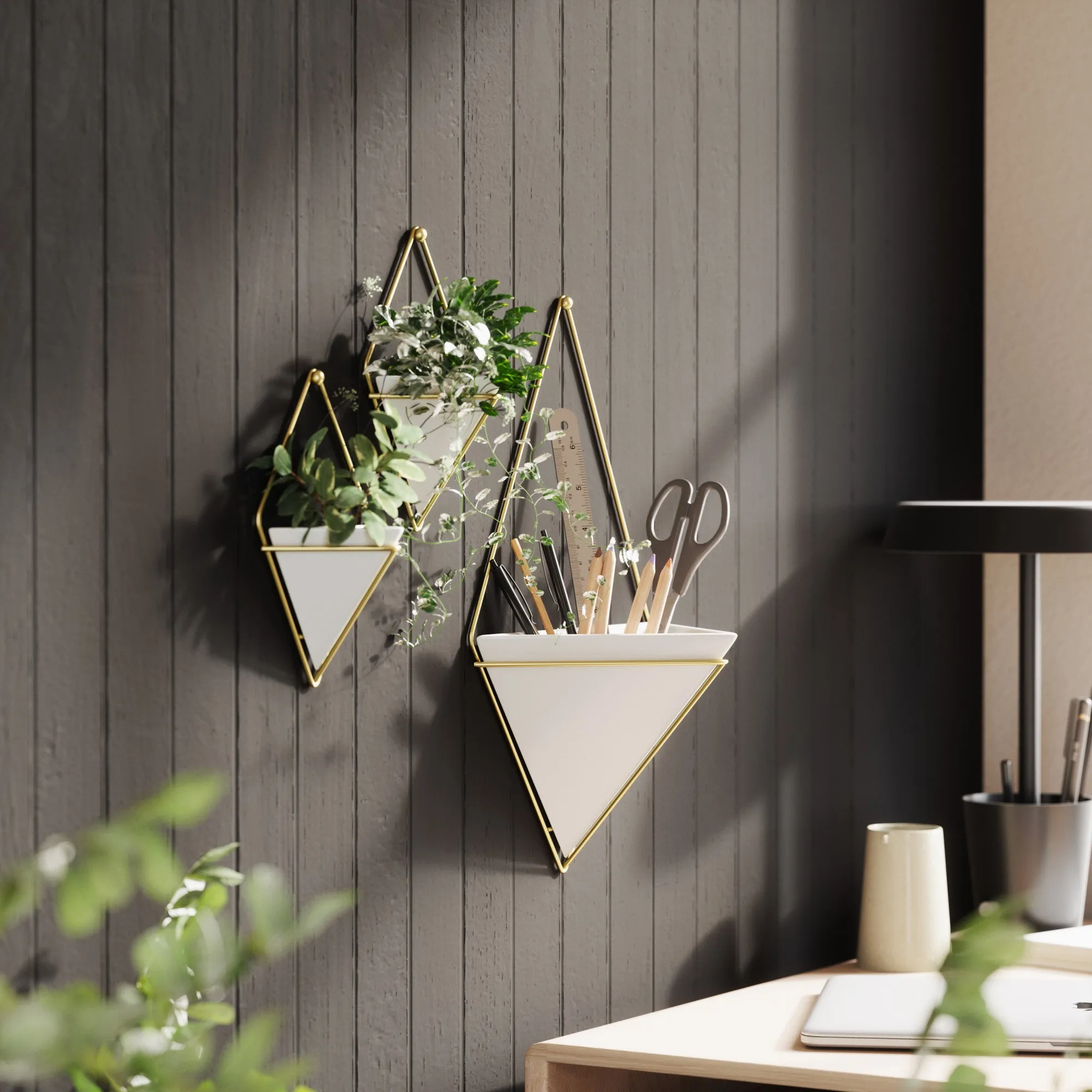 Trigg Wall Planter & Storage Small, Set of 2