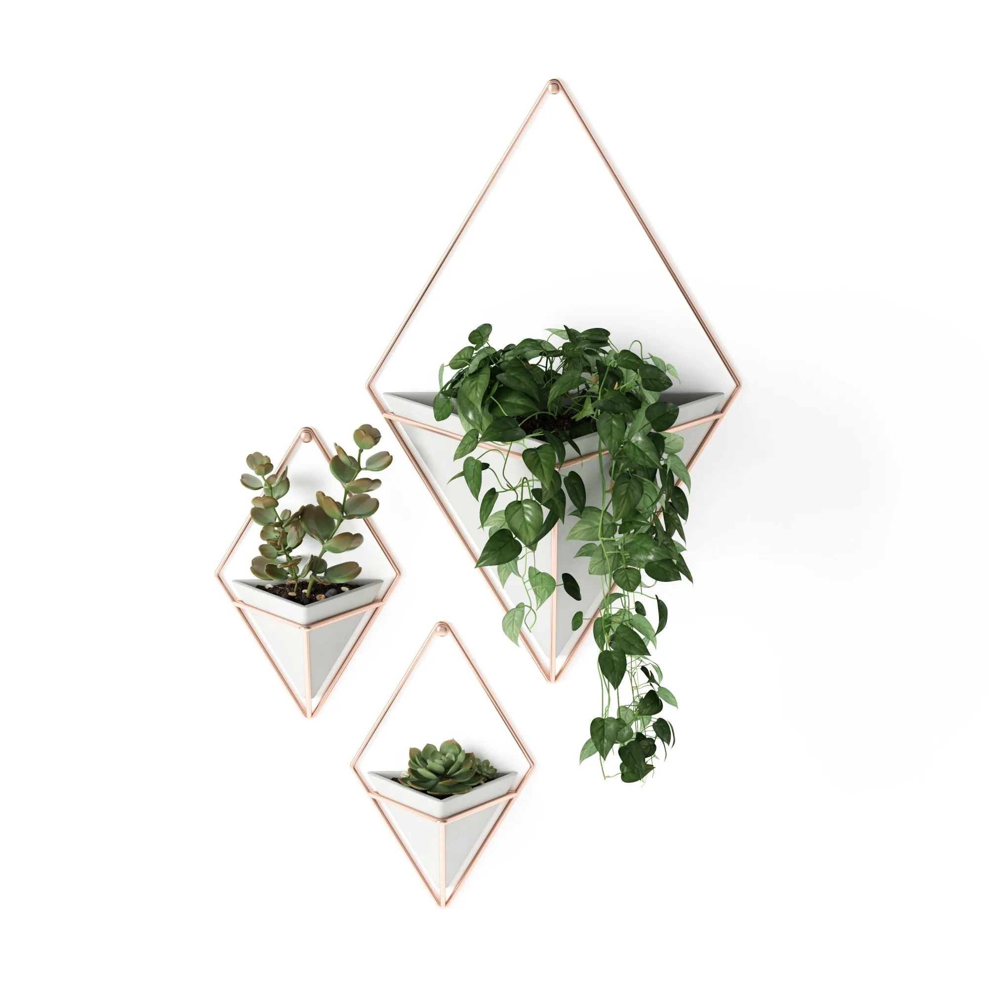 Trigg Wall Planter & Storage Small, Set of 2