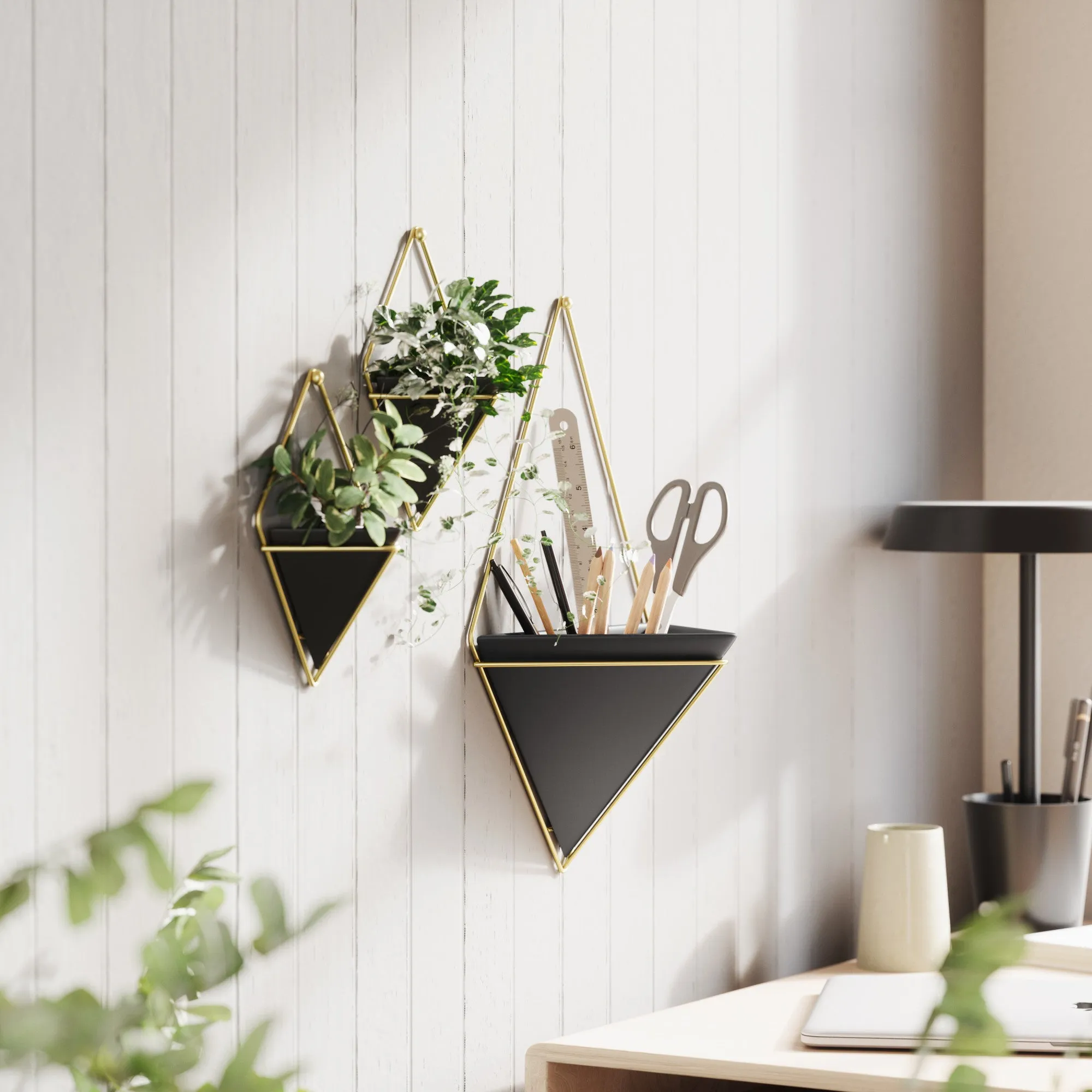 Trigg Wall Planter & Storage Small, Set of 2