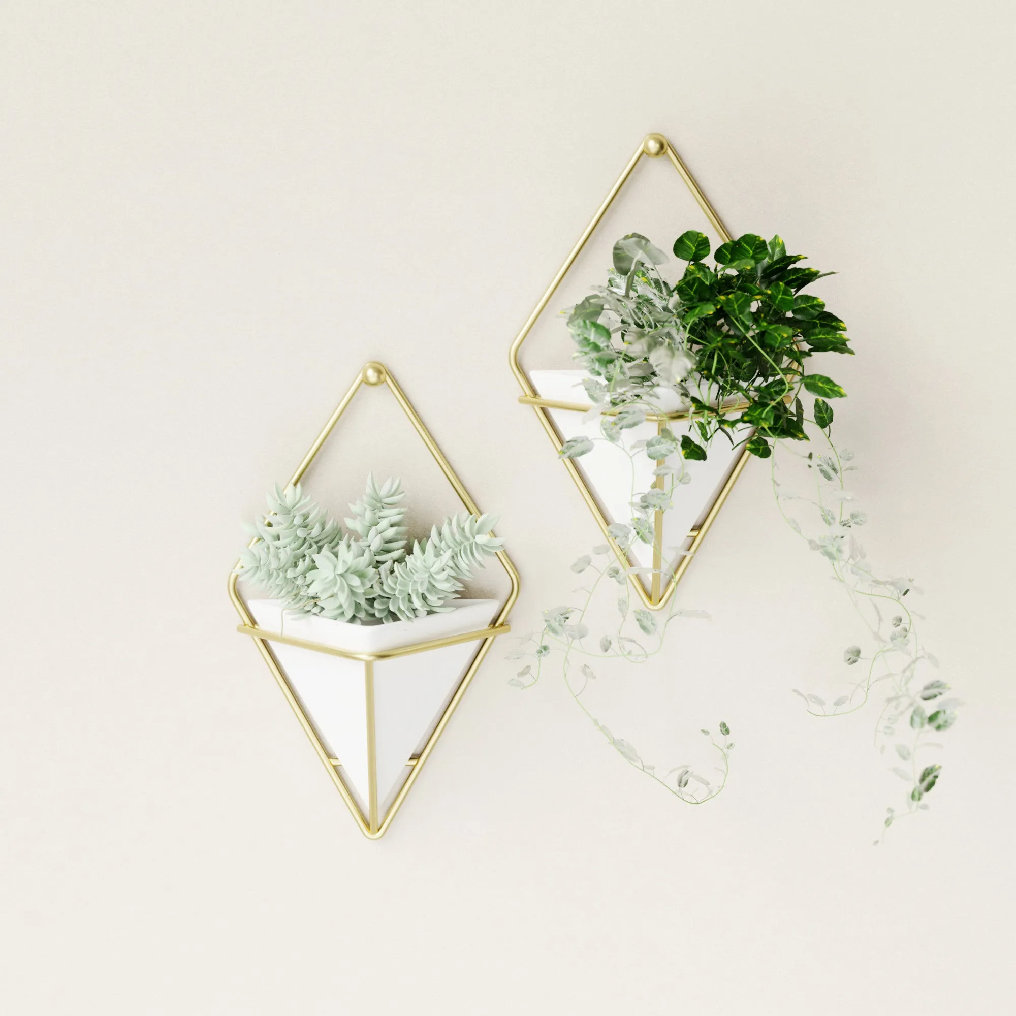Trigg Wall Planter & Storage Small, Set of 2