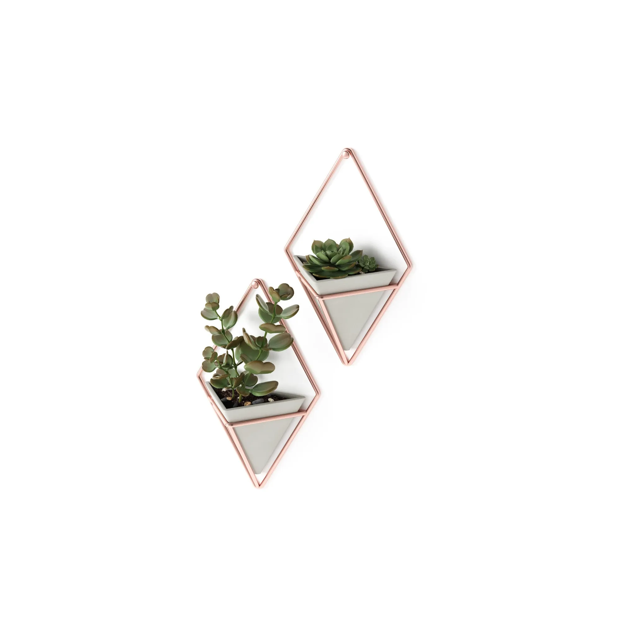 Trigg Wall Planter & Storage Small, Set of 2
