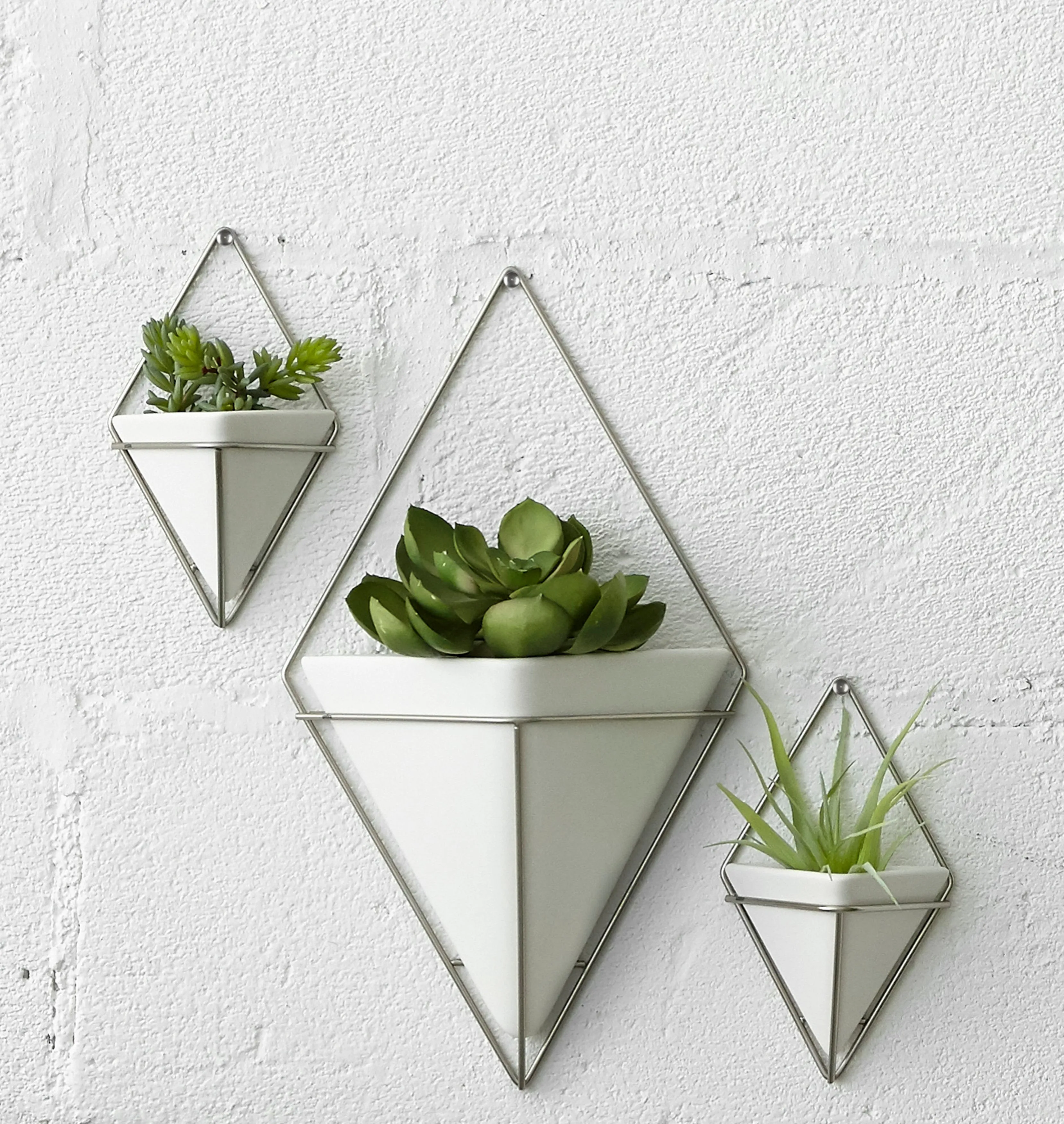 Trigg Wall Planter & Storage Small, Set of 2