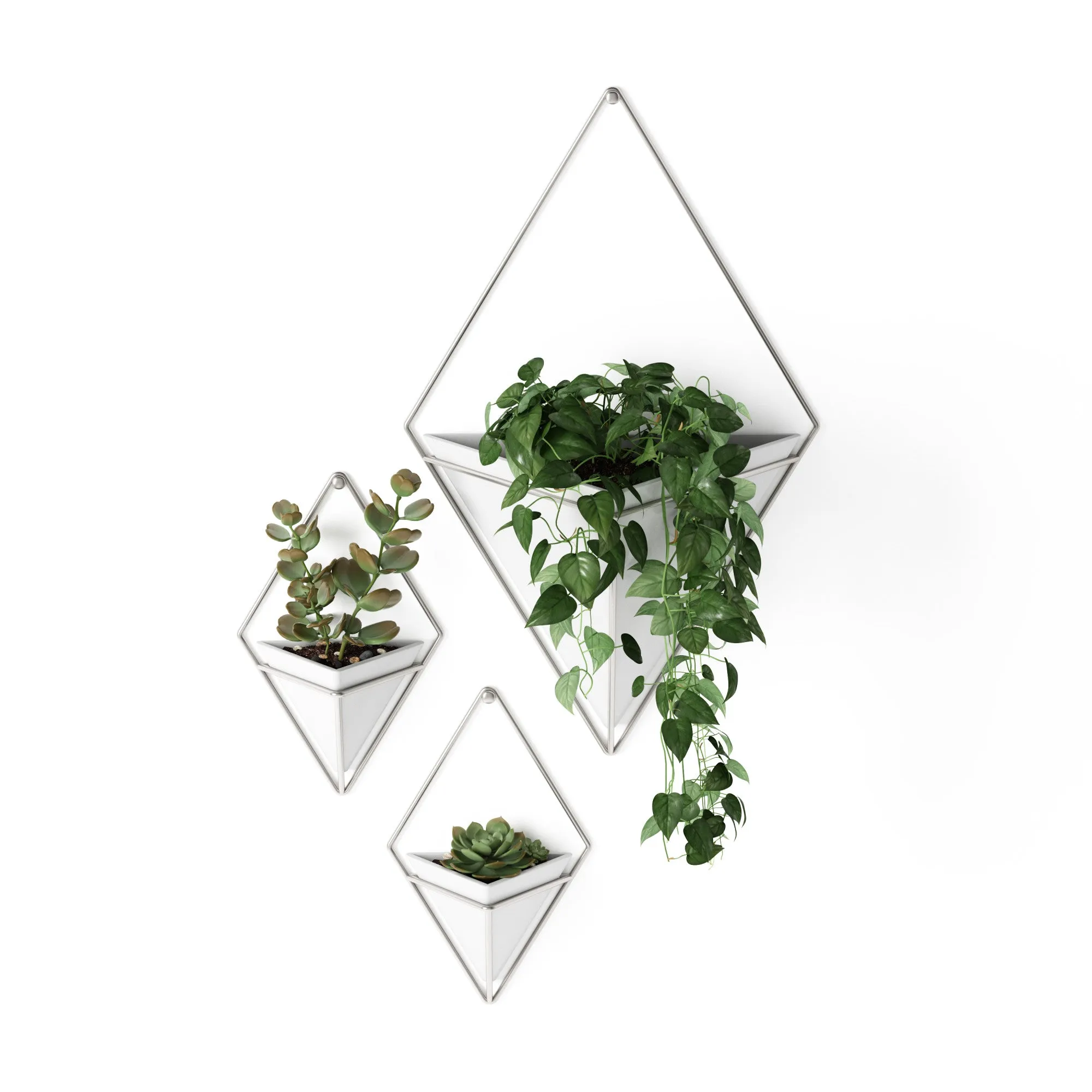 Trigg Wall Planter & Storage Small, Set of 2