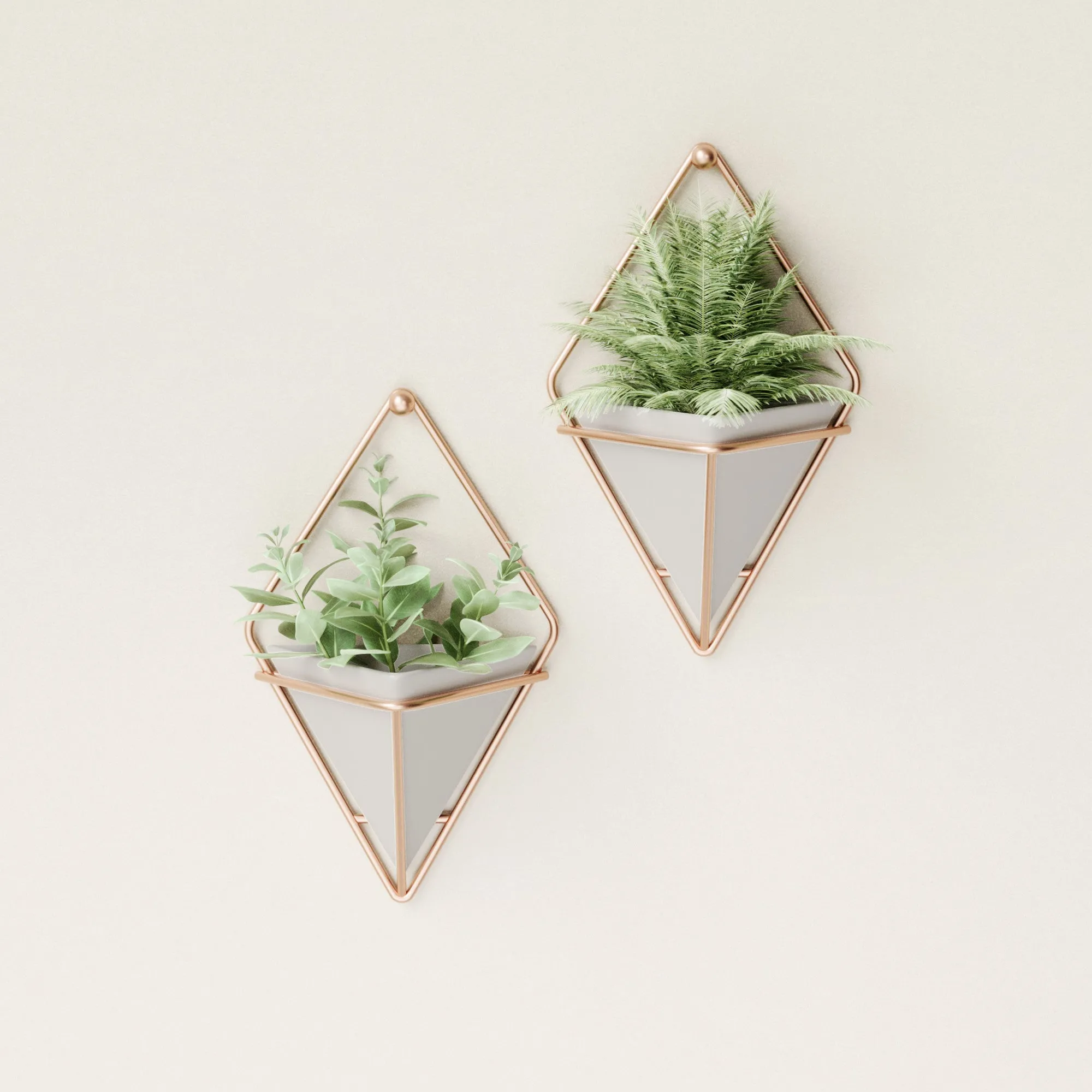 Trigg Wall Planter & Storage Small, Set of 2