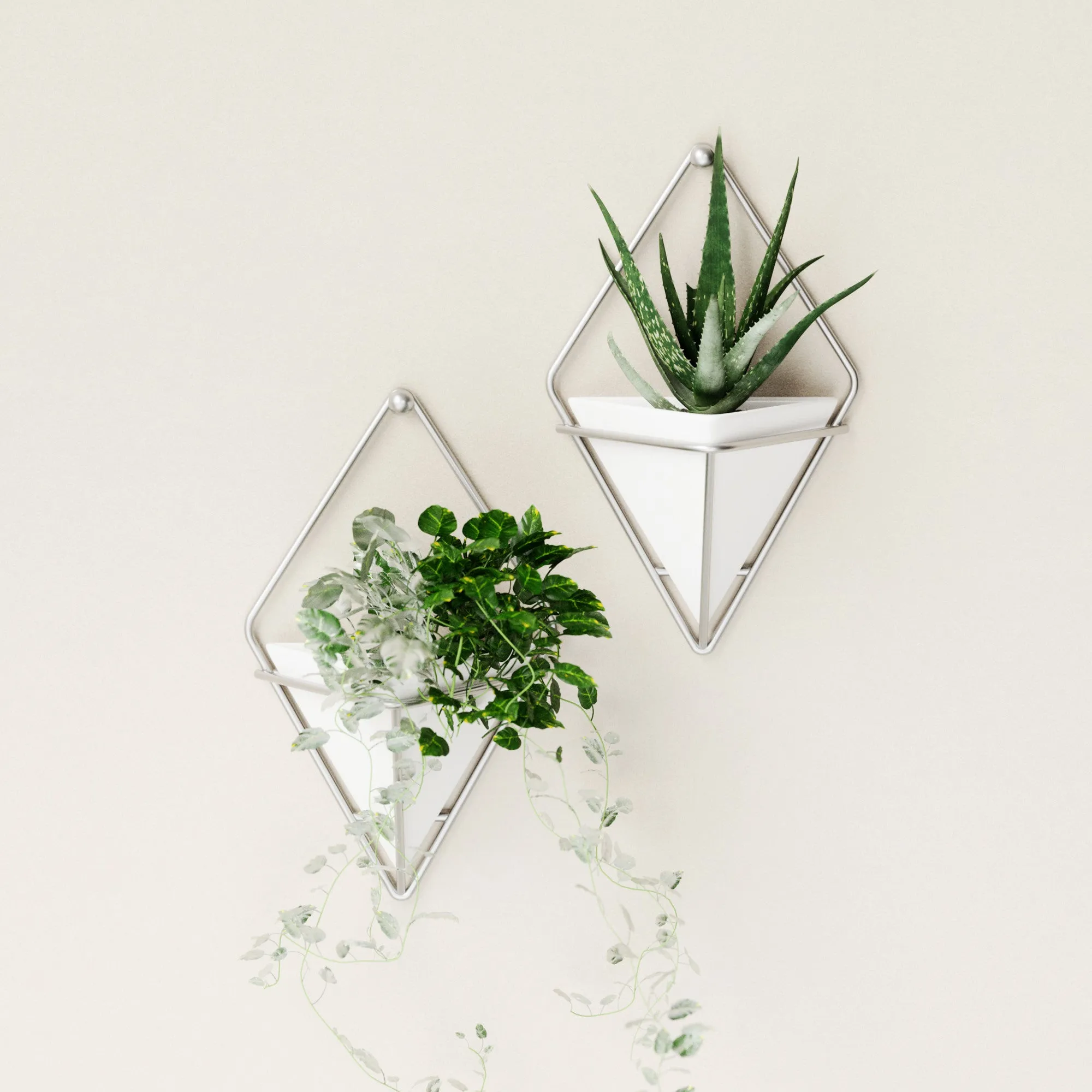 Trigg Wall Planter & Storage Small, Set of 2