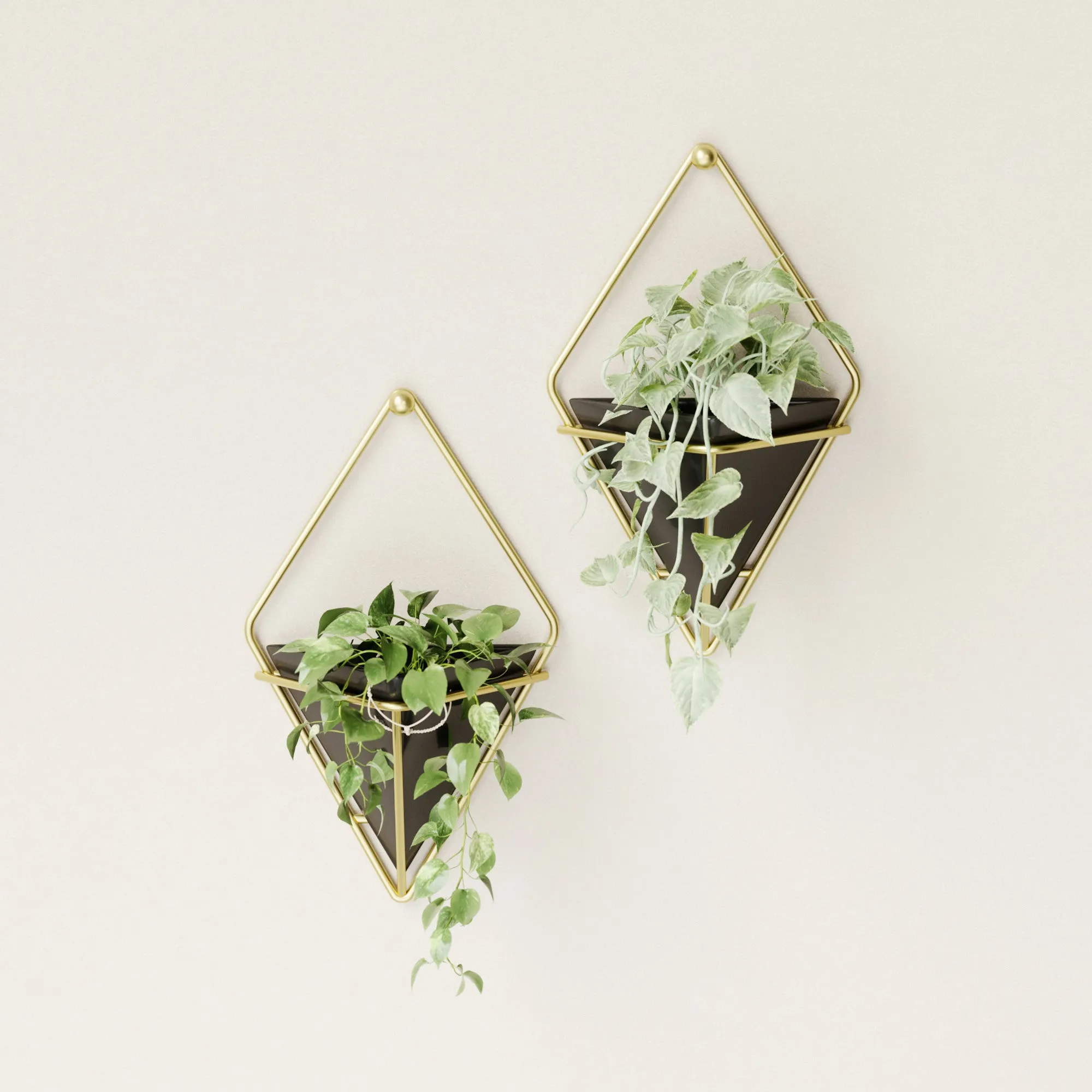 Trigg Wall Planter & Storage Small, Set of 2