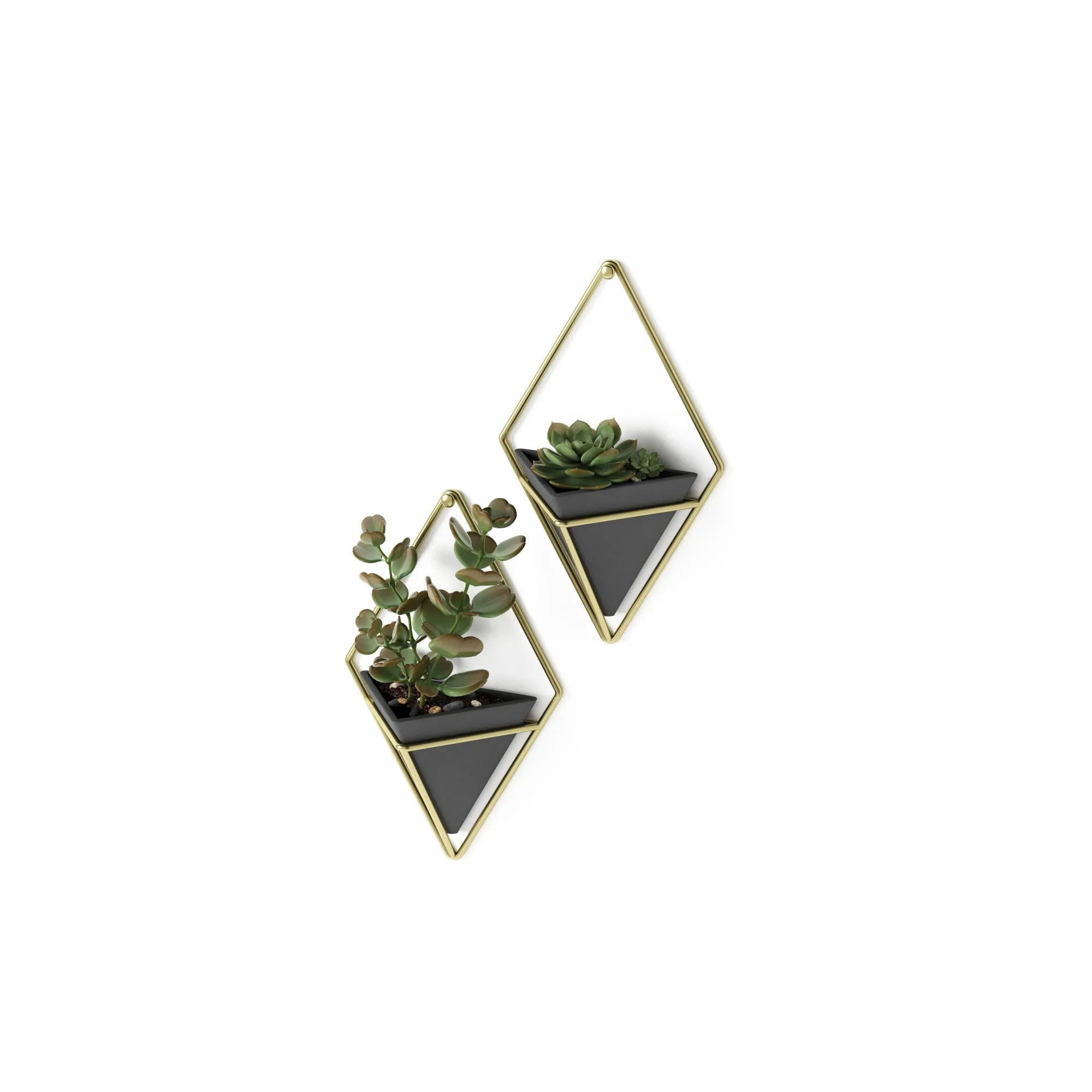 Trigg Wall Planter & Storage Small, Set of 2