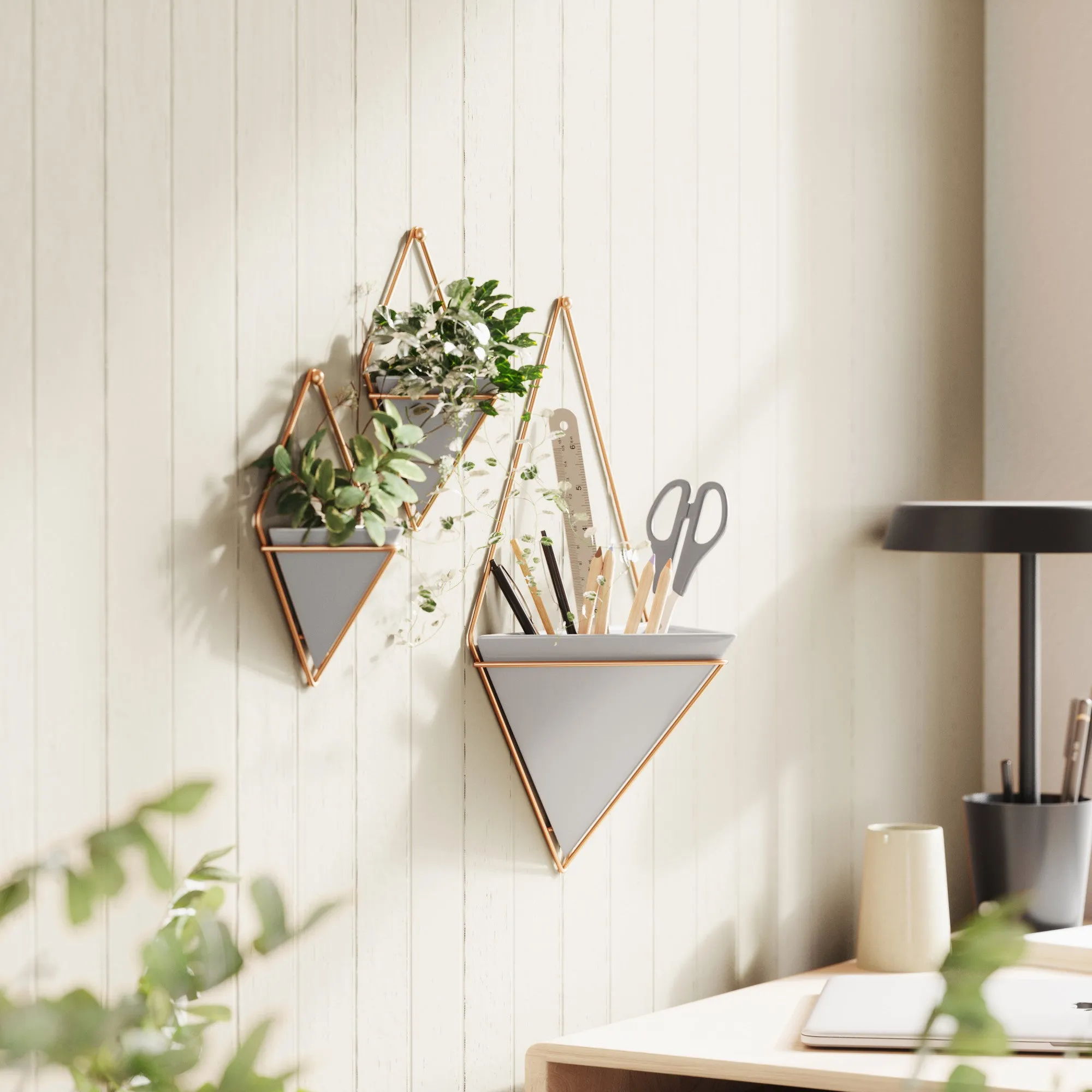 Trigg Wall Planter & Storage Small, Set of 2