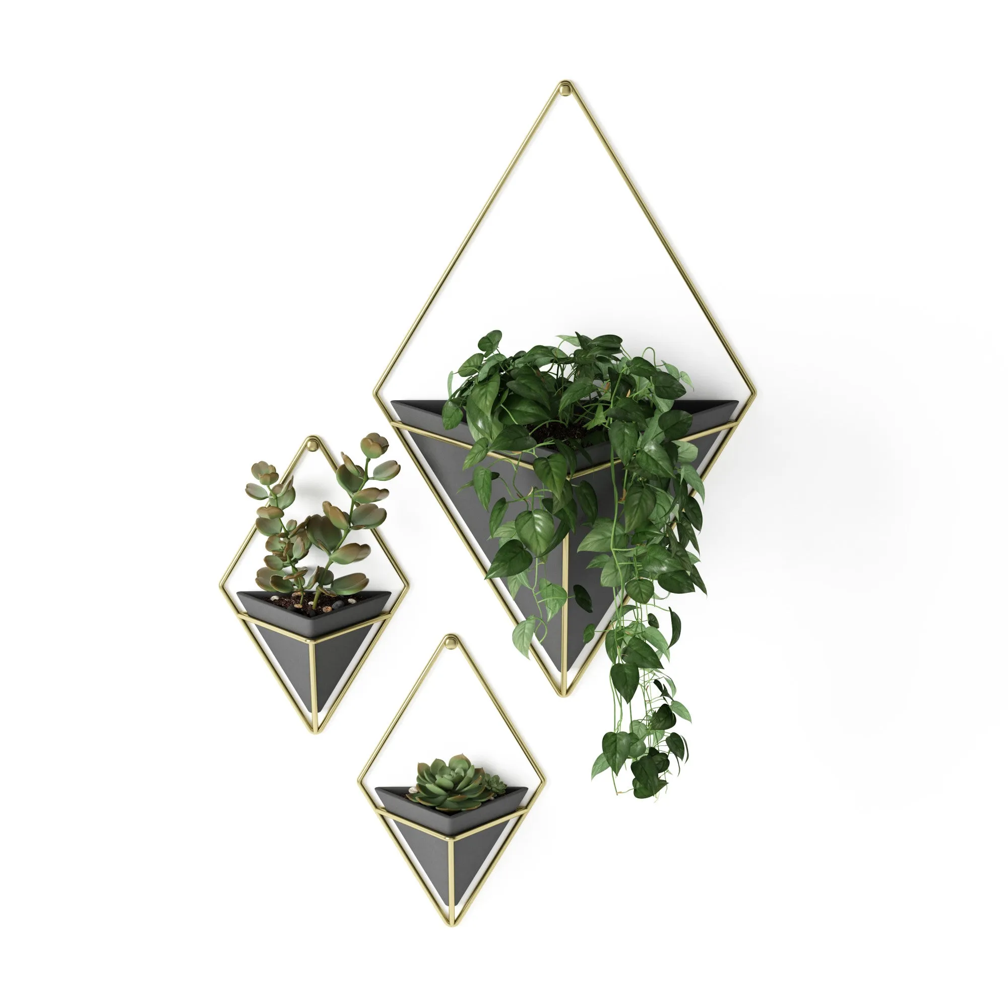 Trigg Wall Planter & Storage Small, Set of 2