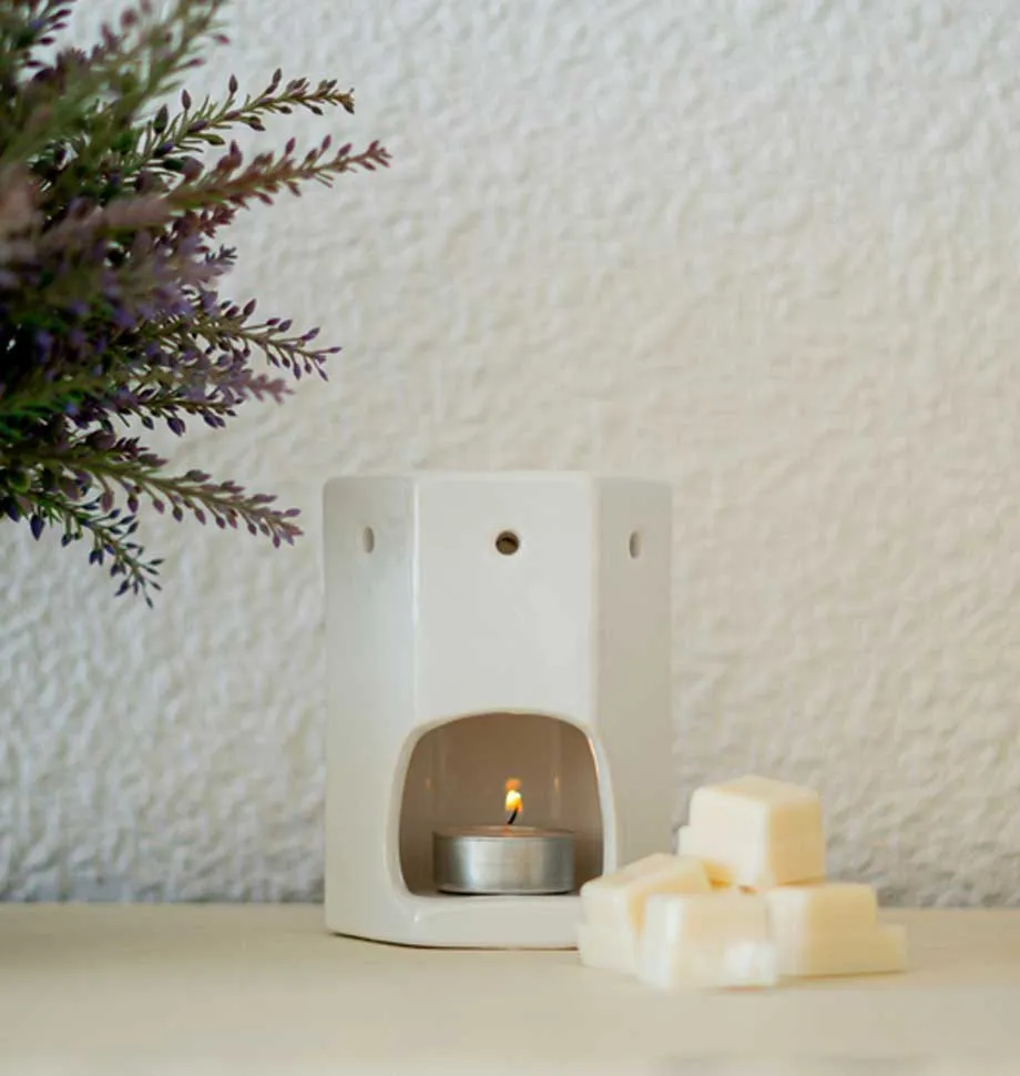 Vanilla & Coconut Wax Melt 6 Pack